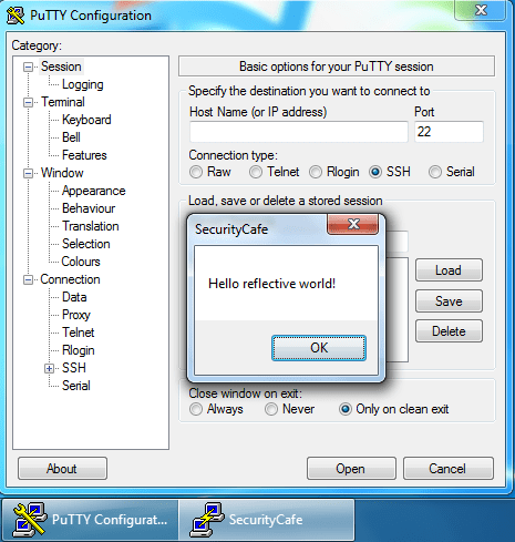Reflective DLL Injection