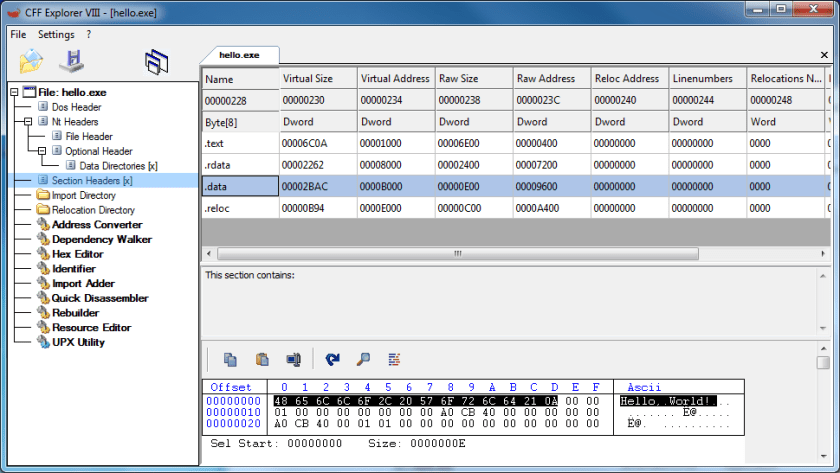String in data section
